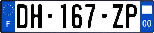 DH-167-ZP