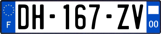 DH-167-ZV