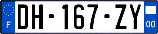 DH-167-ZY