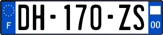 DH-170-ZS