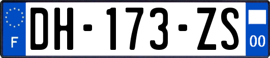 DH-173-ZS