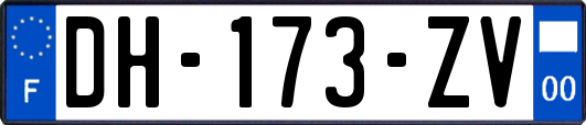 DH-173-ZV