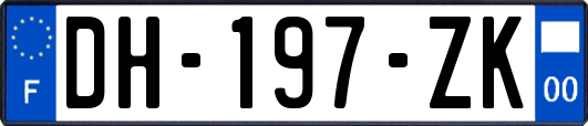 DH-197-ZK