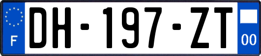 DH-197-ZT