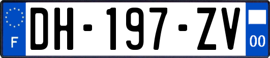 DH-197-ZV