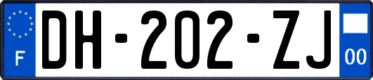 DH-202-ZJ