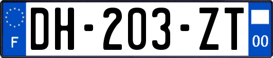 DH-203-ZT