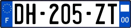 DH-205-ZT