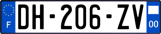 DH-206-ZV