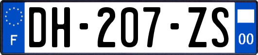 DH-207-ZS