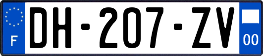 DH-207-ZV