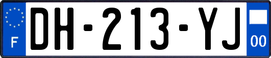 DH-213-YJ