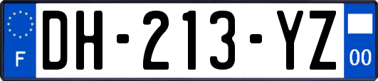 DH-213-YZ