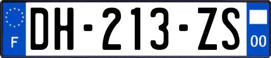 DH-213-ZS