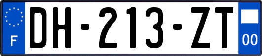 DH-213-ZT