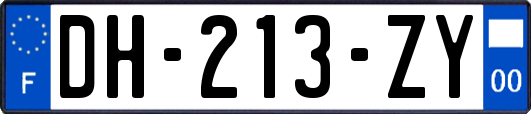 DH-213-ZY