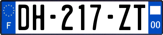 DH-217-ZT