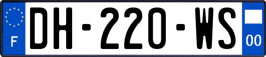 DH-220-WS