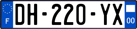 DH-220-YX