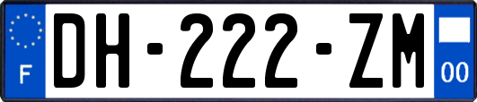 DH-222-ZM