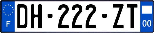 DH-222-ZT