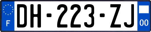 DH-223-ZJ