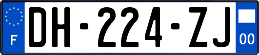 DH-224-ZJ