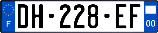 DH-228-EF
