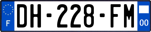 DH-228-FM