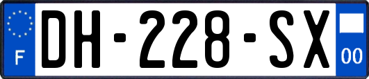 DH-228-SX
