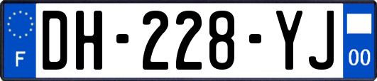 DH-228-YJ