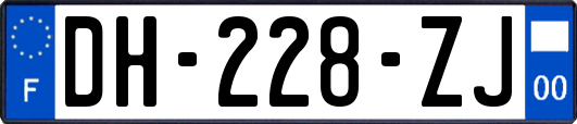 DH-228-ZJ