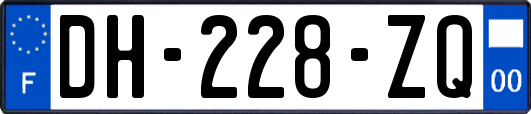 DH-228-ZQ