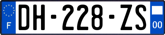 DH-228-ZS