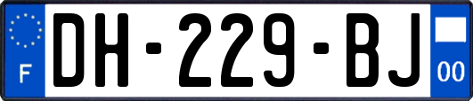 DH-229-BJ