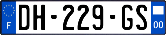 DH-229-GS