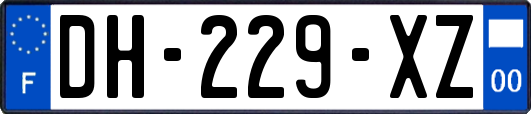 DH-229-XZ