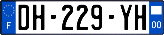 DH-229-YH