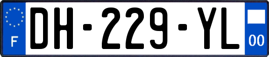 DH-229-YL
