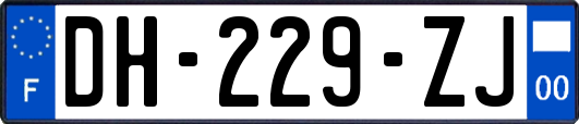 DH-229-ZJ