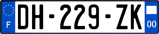 DH-229-ZK