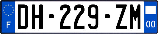 DH-229-ZM