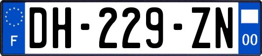 DH-229-ZN