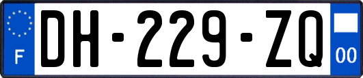 DH-229-ZQ