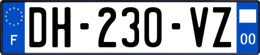 DH-230-VZ