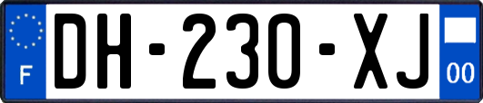 DH-230-XJ