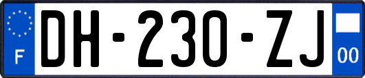 DH-230-ZJ