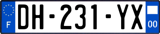 DH-231-YX