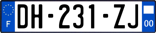 DH-231-ZJ