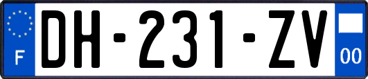 DH-231-ZV